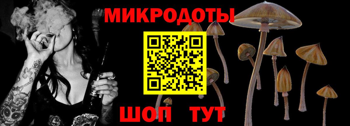 Муром  цены наркотик  Вход с VPN  Галлюциногенные грибы Cubensis 