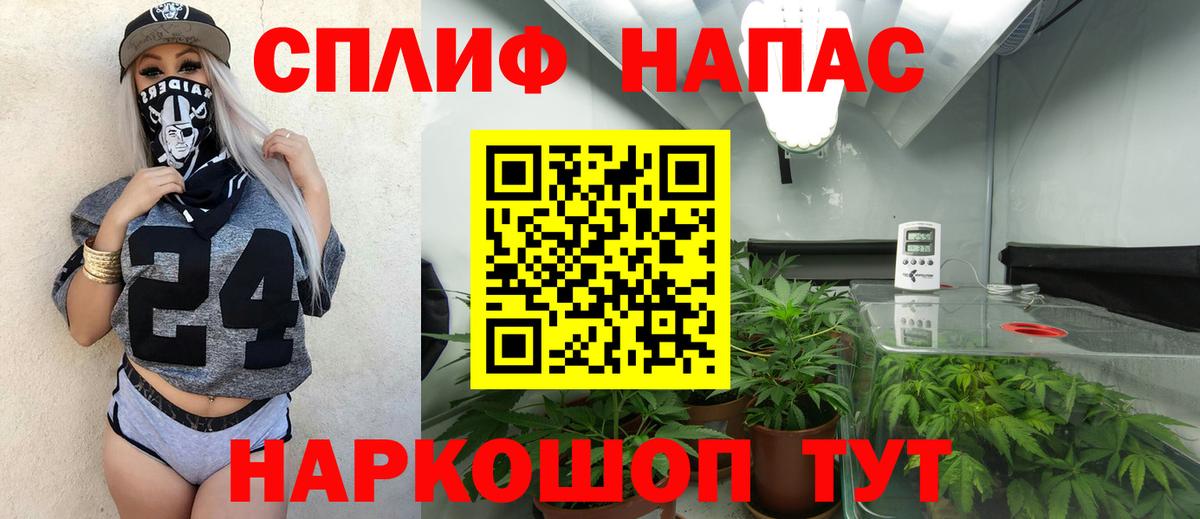 Бошки Шишки конопля Муром